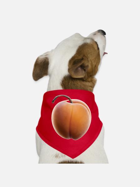 Aprikose Frucht Geschenk - Hunde-Bandana - Rot - Vorne