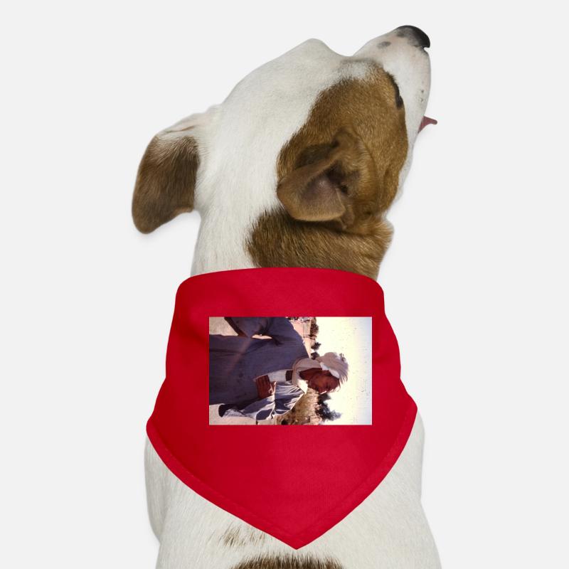Retro Egypt Man Hunde-Bandana