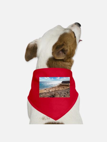 View over a beautiful bathing bay Risco del paso - Dog Bandana - red - Front
