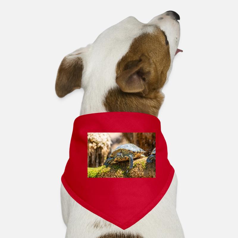 Gelbbauch-Slider Trachemys scripta scripta Hunde-Bandana
