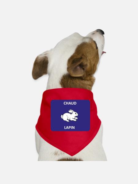 Heißes Kaninchen - Hunde-Bandana - Rot - Vorne