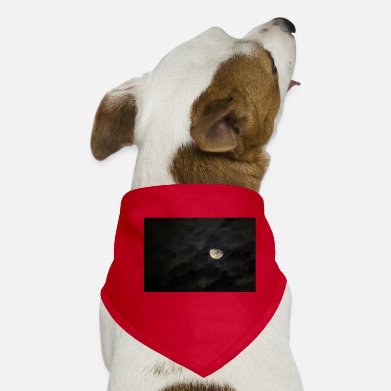 Mond Hunde-Bandana