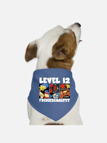 Level 12 Retro Spielcollage pro gamer 12. Bday - Hunde-Bandana - Rot - Vorne