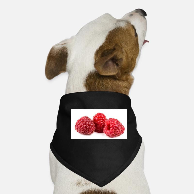 Raspberry. Raspberry Dog Bandana
