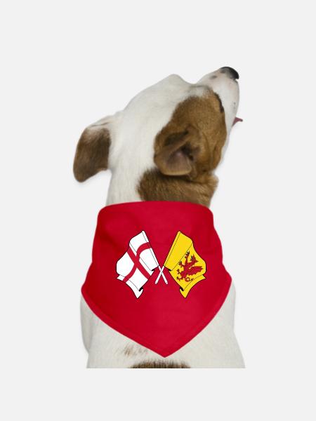 Somerset crossed with England - Dog Bandana - red - Front