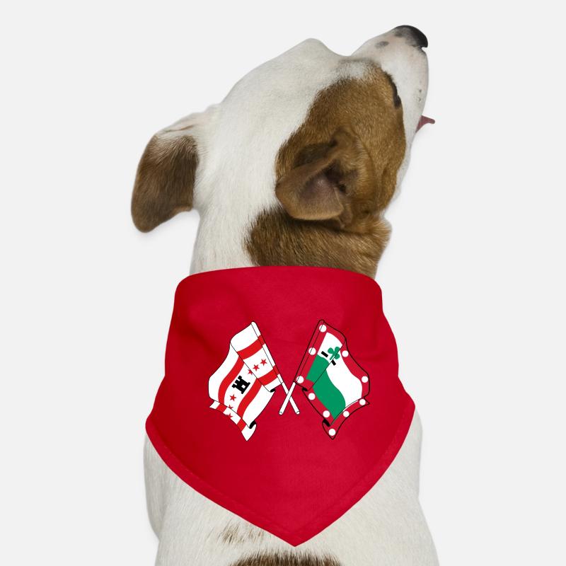 Meppel & Drenthe Flags – Regional Pride Dog Bandana