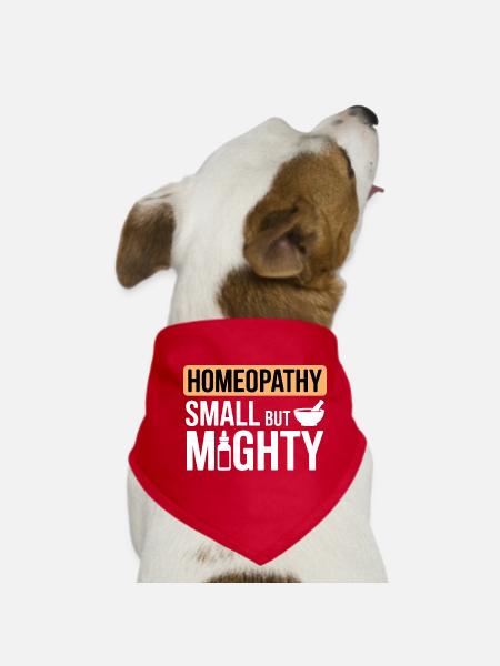 Spécialiste certifié en dilution clinique en vêtements - Bandana pour chien - rouge - Devant
