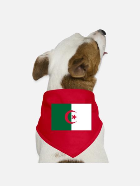 autocollant drapeau de l’Algérie Aufkleber Algérie autocollant - Bandana pour chien - rouge - Devant
