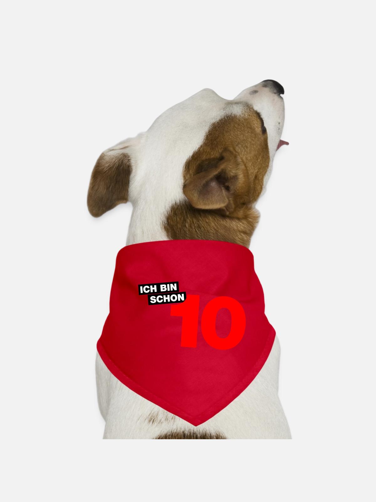Ich bin schon 10 - Hunde-Bandana - Rot - Vorne