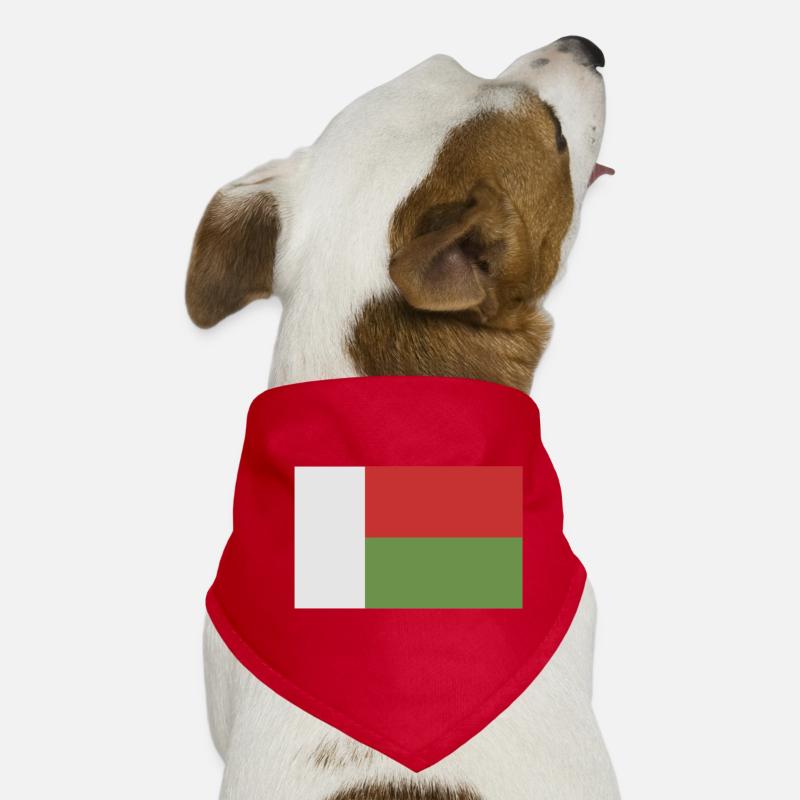 Madagaskar-Flagge Hunde-Bandana