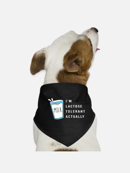 Milch Laktose Blähungen - Hunde-Bandana - Schwarz - Vorne