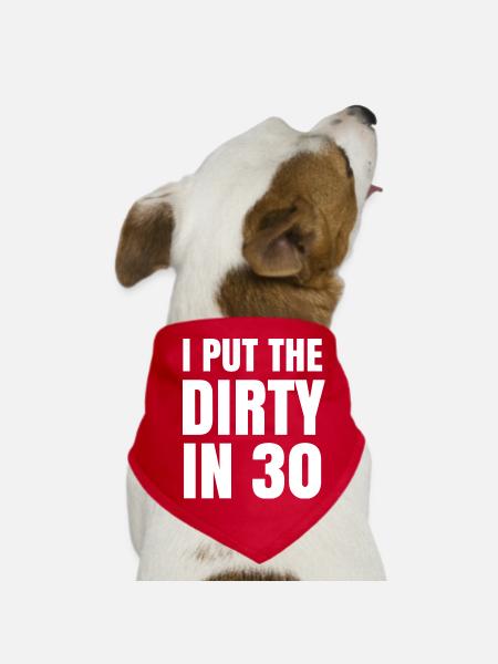 Dirty In Thirty - 30. Geburtstag Geschenk Dreissig - Hunde-Bandana - Rot - Vorne