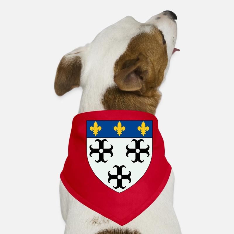 Blason de Moulins Bandana pour chien