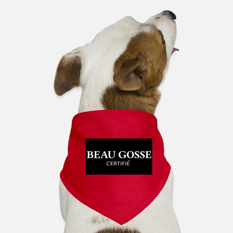 Certified Handsome Kid Logo Dog Bandana