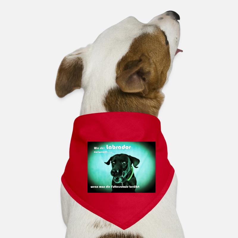 Hungriger Labrador Hunde-Bandana