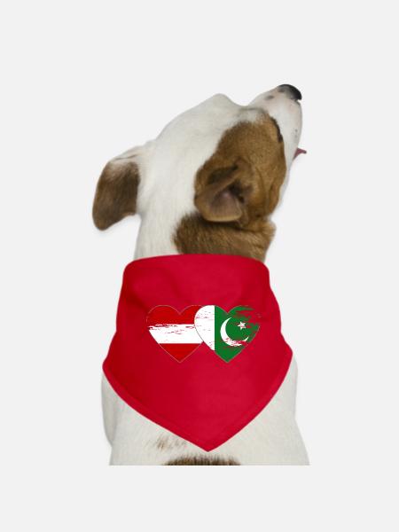 Austria Pakistan Flag Heart - Dog Bandana - red - Front