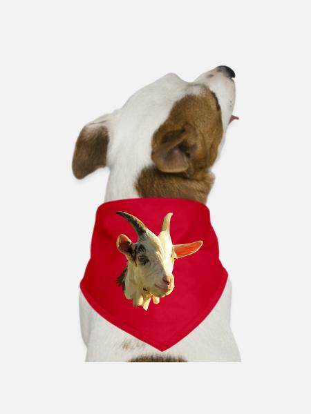 Cadeau de chèvre t-shirts - Bandana pour chien - rouge - Devant