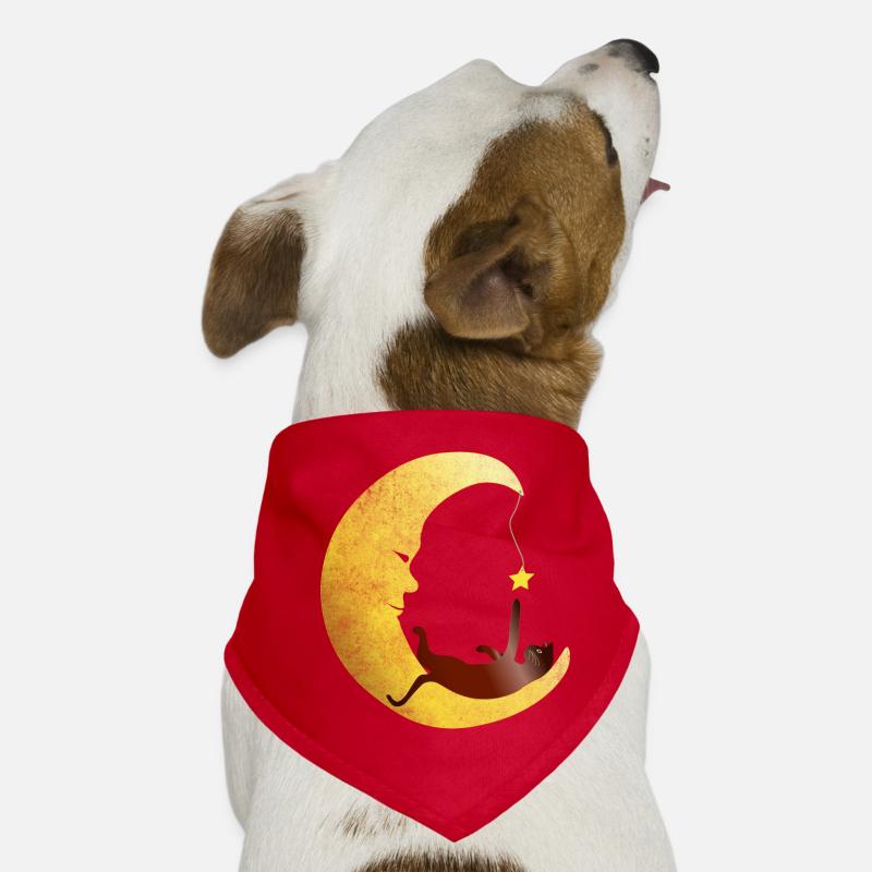 Chat joue dans la lune avec une étoile Bandana pour chien