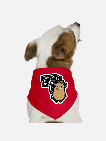 I Have No Idea What I'm Doing – Confused Kar - Dog Bandana - red - Front