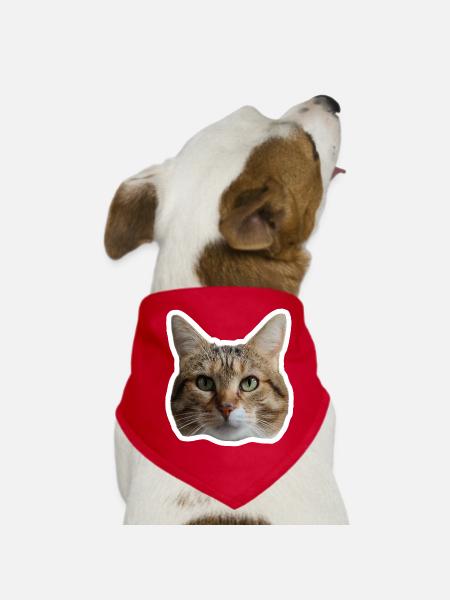 Sticker Missty - Bandana pour chien - rouge - Devant