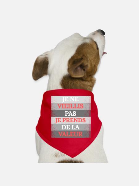 Je vieillis Pas Prends de la Valeur - Bandana pour chien - rouge - Devant
