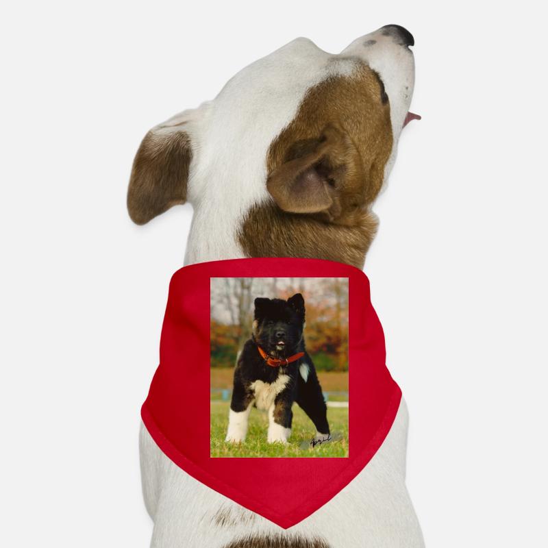 April Titel Hunde-Bandana
