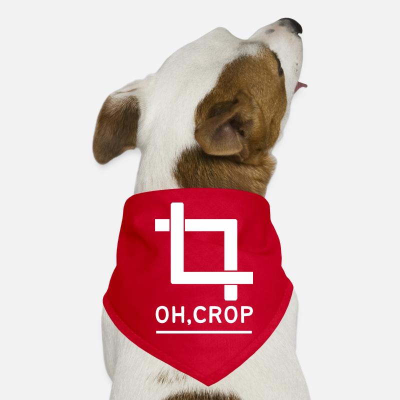Designer graphiste graphiste designer artiste Bandana pour chien