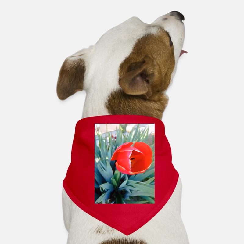 Mon design Bandana pour chien