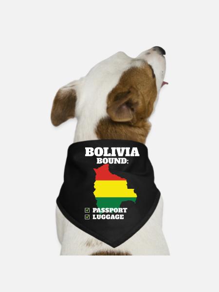 Voyage à destination de la Bolivie Drapeau bolivien - Bandana pour chien - noir - Devant