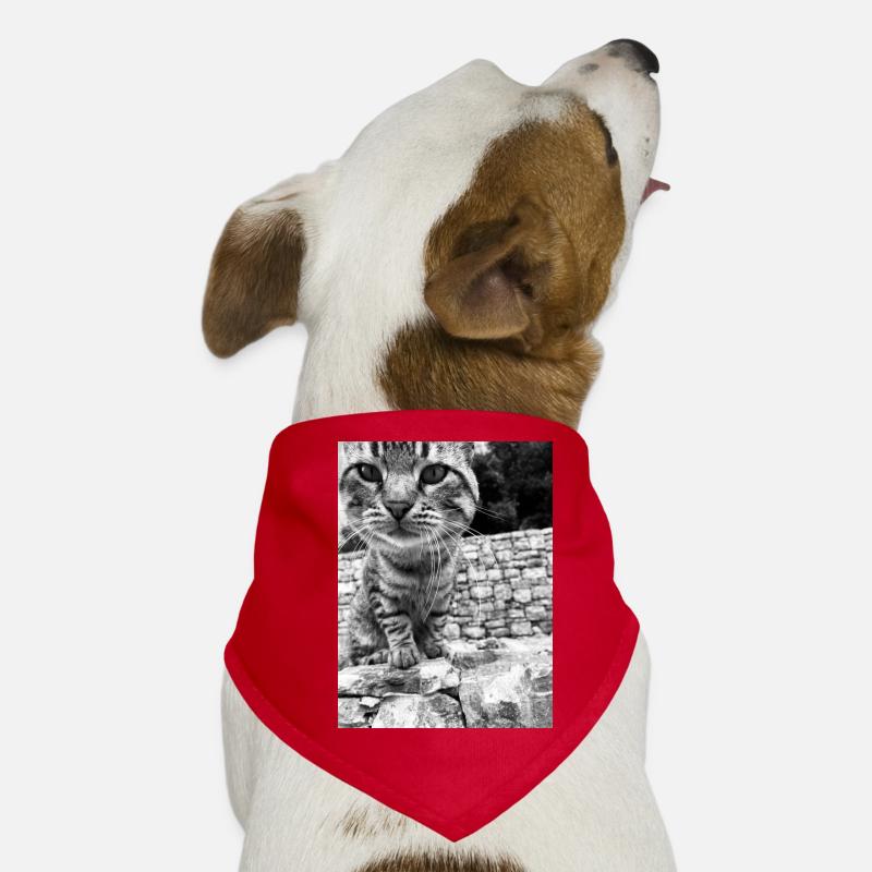 Katzen Pullover Herren Damen kinder Hunde-Bandana
