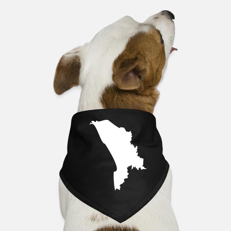 Drapeau de la carte de la Moldavie Bandana pour chien