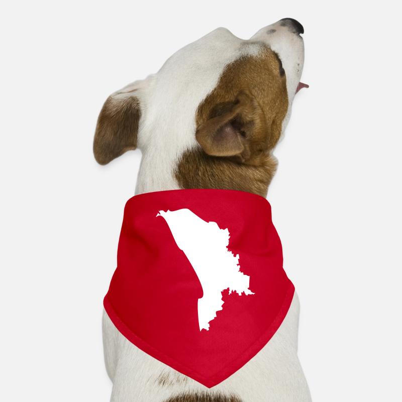 Drapeau de la carte de la Moldavie Bandana pour chien