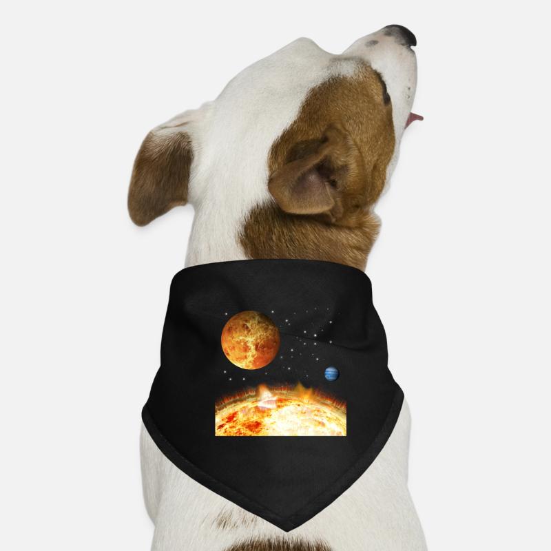 Weltraum Hunde-Bandana
