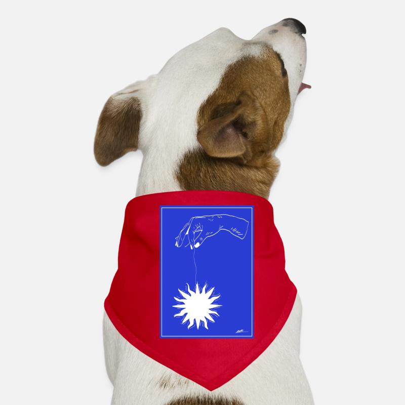 briller Bandana pour chien