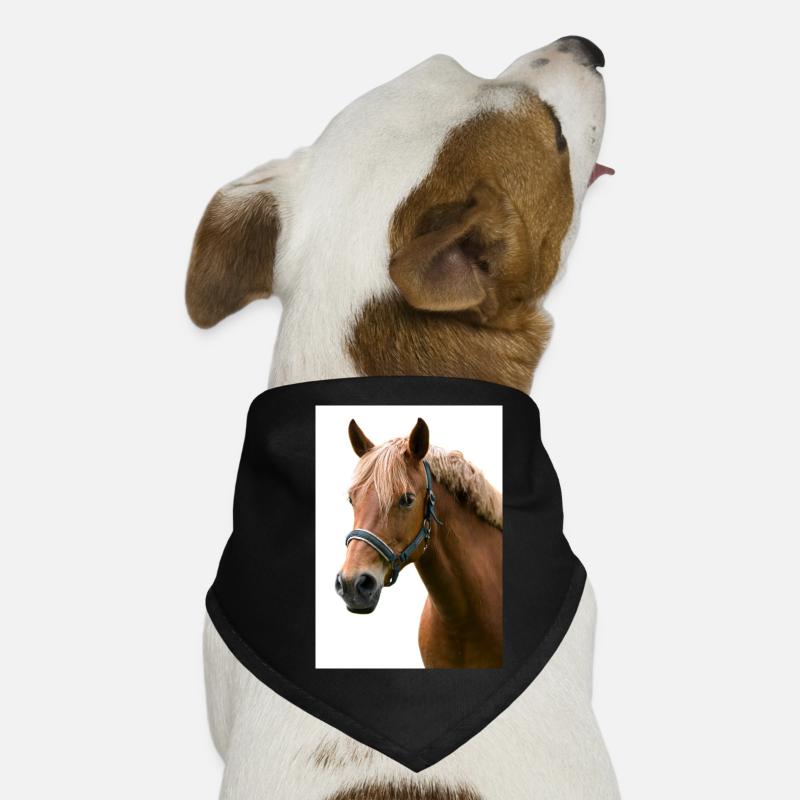 Cheval. Cheval. Bandana pour chien