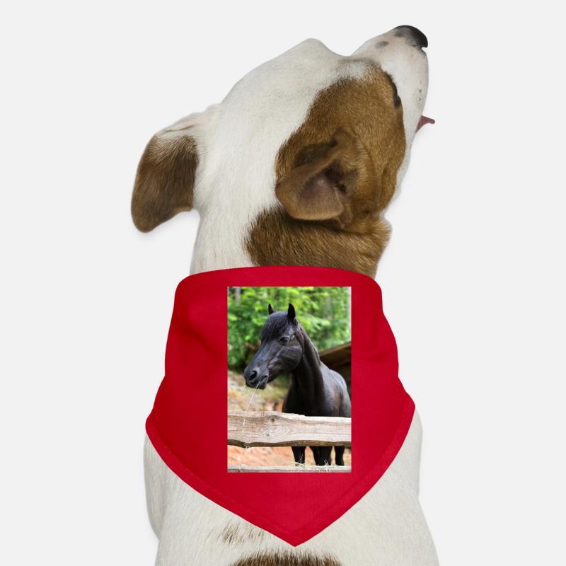 wunderschönes schwarze Ponystute Bianca Hunde-Bandana