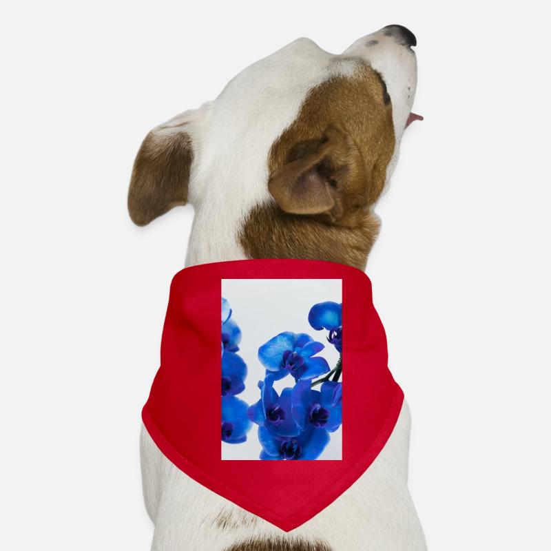 Cobalt Blue Orchids Dream Dog Bandana