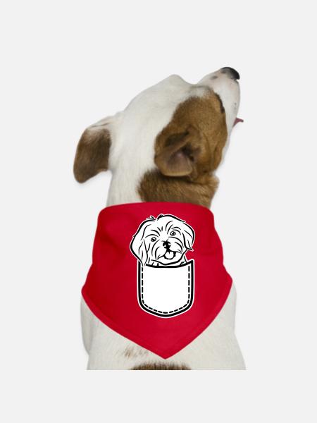Havaneser - Hunde-Bandana - Rot - Vorne