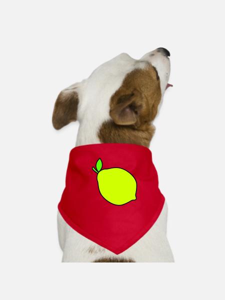 zitrone - Hunde-Bandana - Rot - Vorne