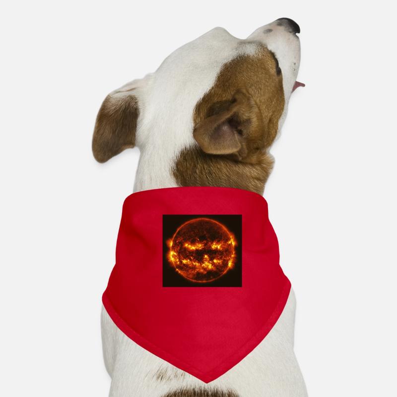 Helloween Pumpkin - Soleil Bandana pour chien