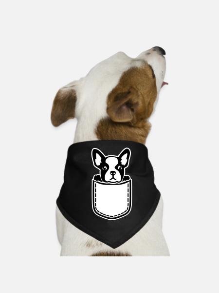 Französische Bulldogge - Hunde-Bandana - Schwarz - Vorne