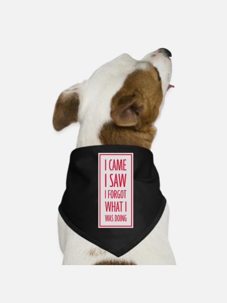 I came saw forget - Dog Bandana - black - Front