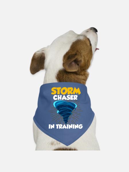 Tornado - Hunde-Bandana - Rot - Vorne