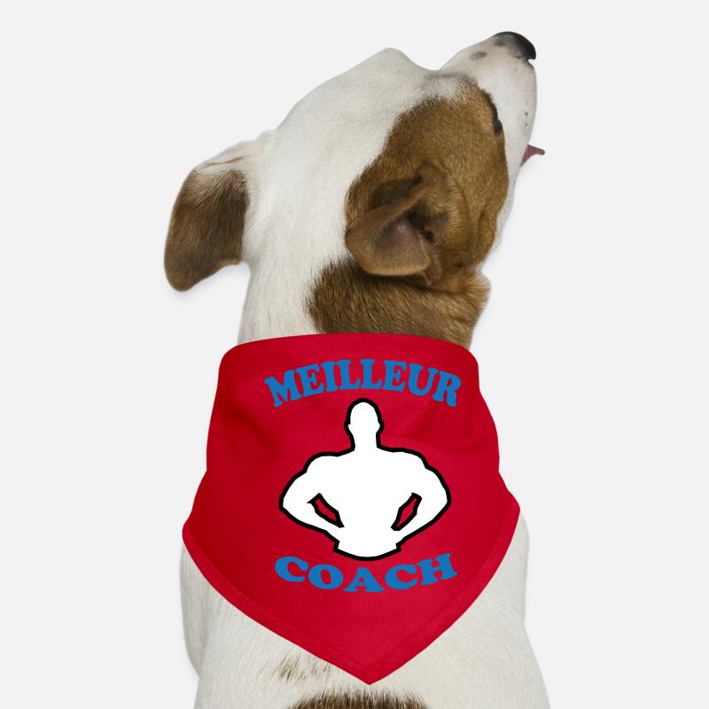 BESTER TRAINER 88 Hunde-Bandana