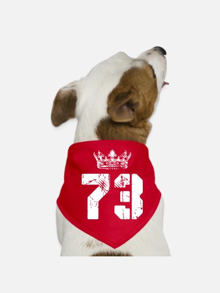 73 Number crown - Dog Bandana - red - Front