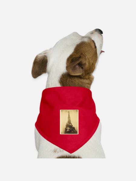 Die Spitze - Hunde-Bandana - Rot - Vorne