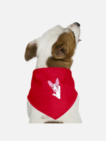 Rat Terrier - Hunde-Bandana - Rot - Vorne