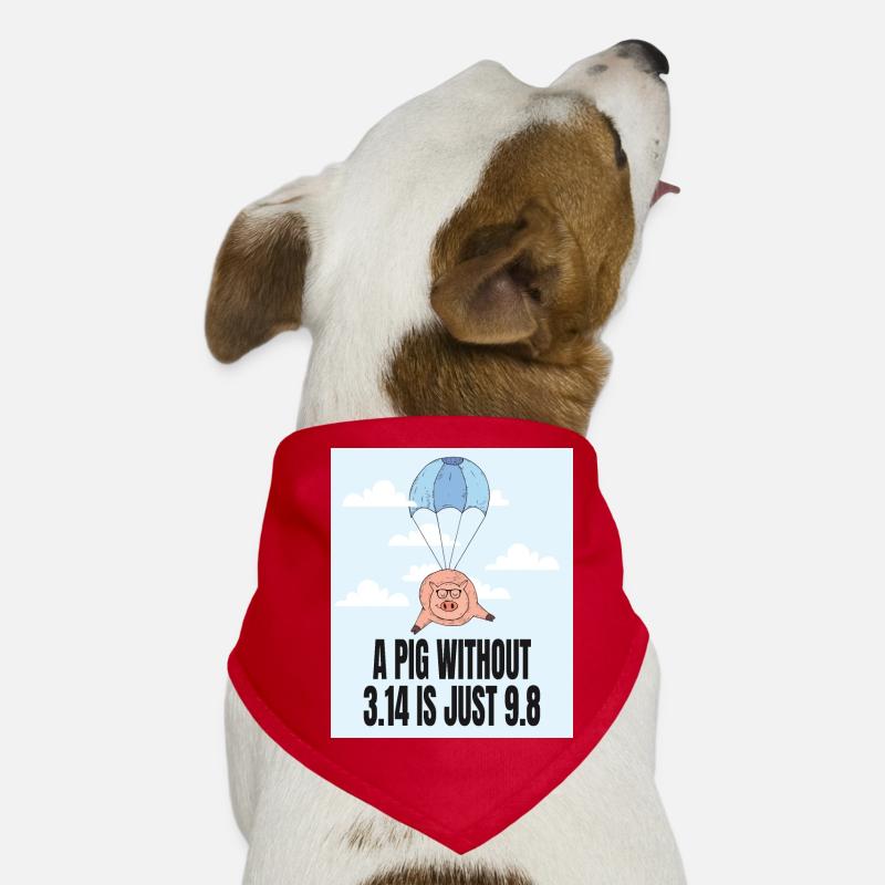 Un cochon sans 3.14 - Idée cadeau Pi Bandana pour chien