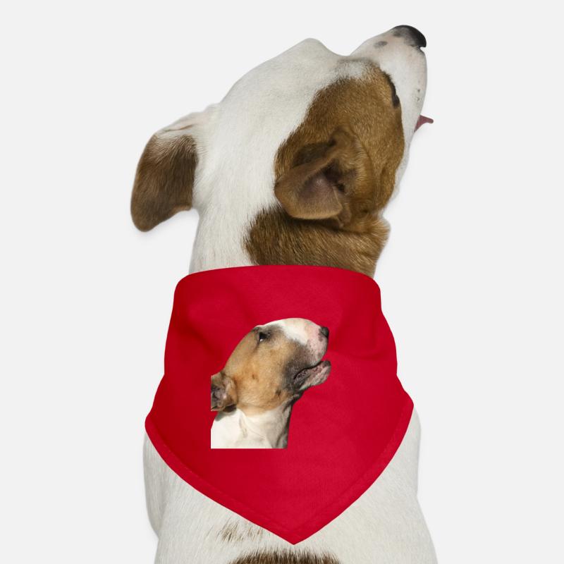 bull-terrier Bandana pour chien