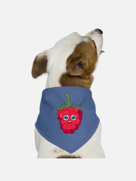 Himbeere - Hunde-Bandana - Rot - Vorne